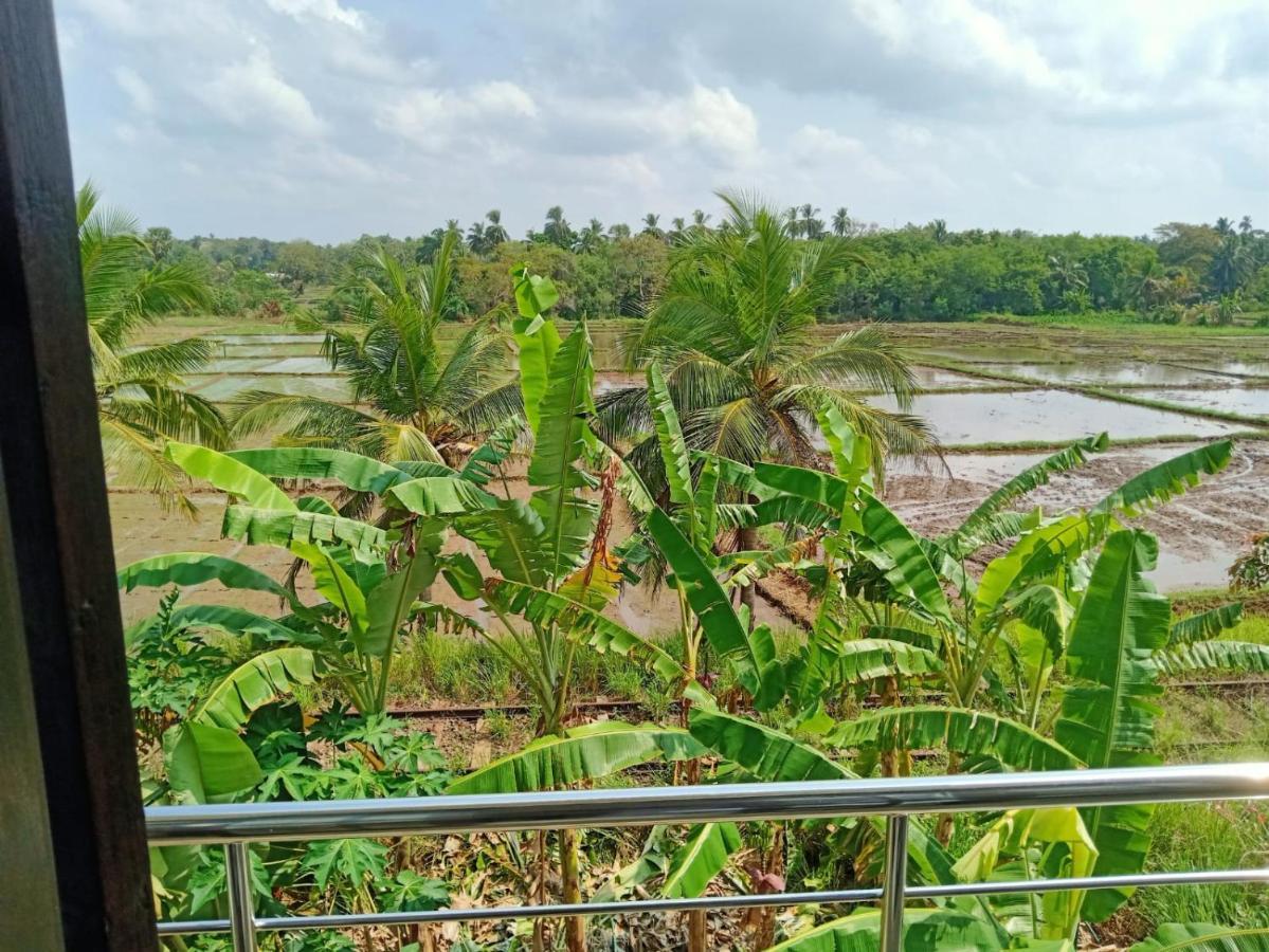 Freedom Of Green Rice View Anuradhapura Exterior foto