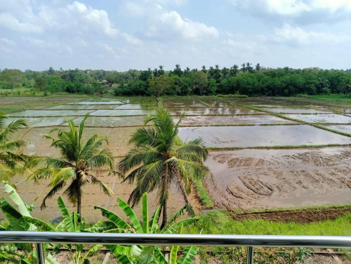 Freedom Of Green Rice View Anuradhapura Exterior foto