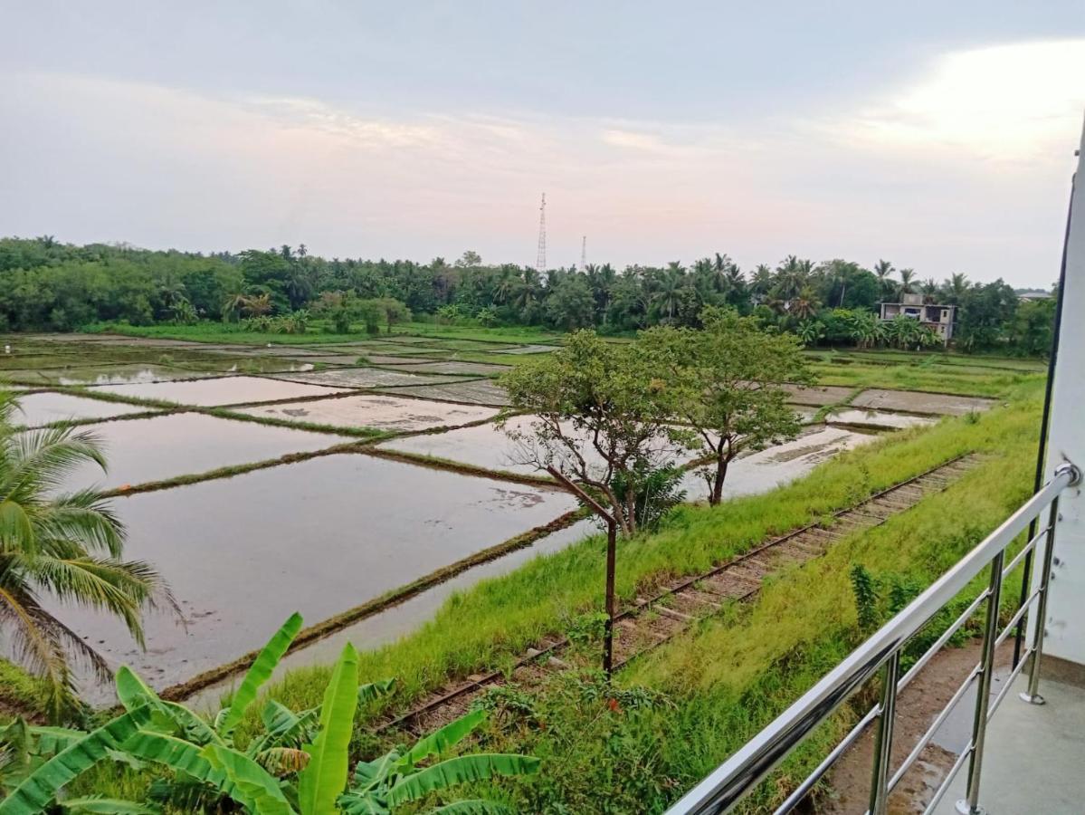 Freedom Of Green Rice View Anuradhapura Exterior foto